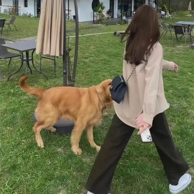 牛宰裤